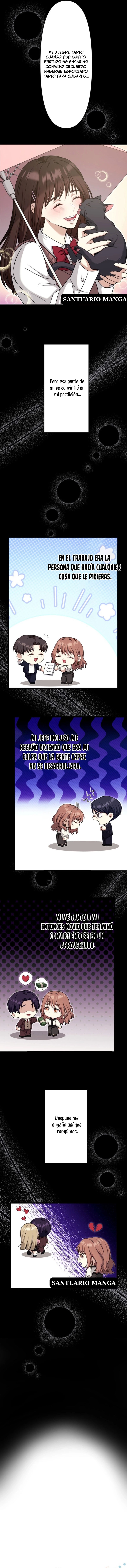 6 El gato callejero no conoce la más bella canción de amor