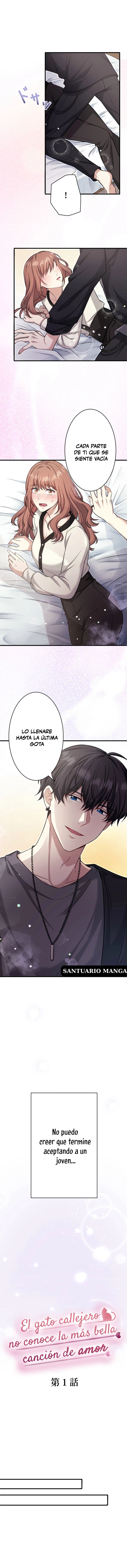 1 El gato callejero no conoce la más bella canción de amor