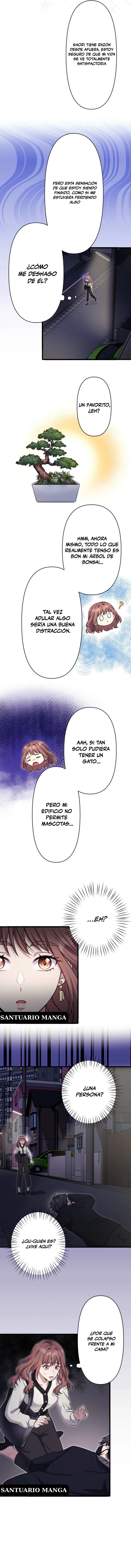 12 El gato callejero no conoce la más bella canción de amor